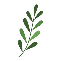 Ash leaf illustration for Christmas ornament