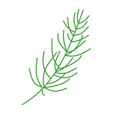 Pine leaf illustration for Christmas ornament