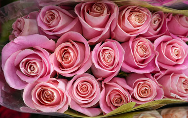 pink roses in a bouquet as background