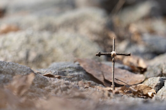 십자가 사진, The picture of the cross, crossphoto, the Cross