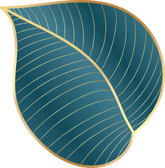 Calathea orbifolia leaf