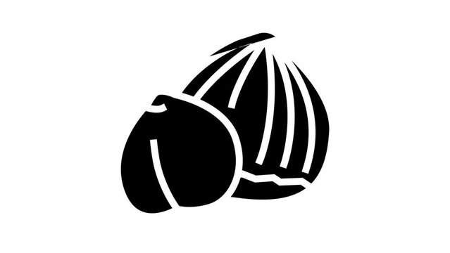hazelnut nut line icon animation