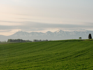 Obraz premium Spring meadow and Tokachi mountain range