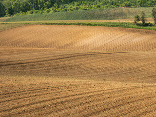 Ridge hills and spring fields