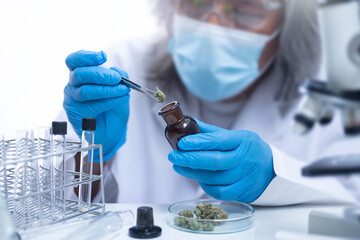 Researchers use tweezers to capture cannabis bud from dark glass bottle, scientist with mask,...