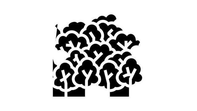 forest leaf glyph icon animation