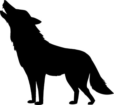 wolf black silhouette