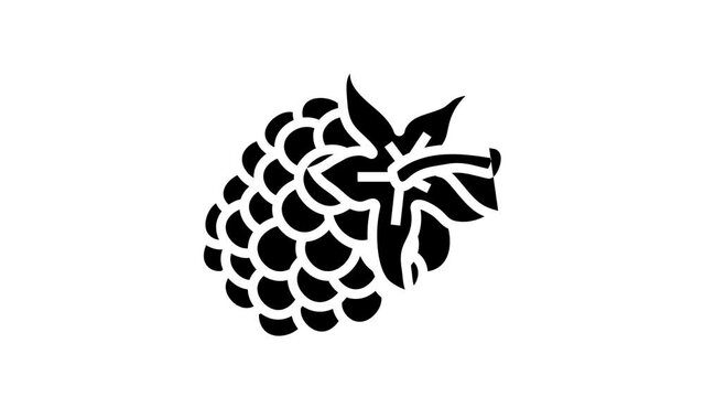 blackberry berry line icon animation