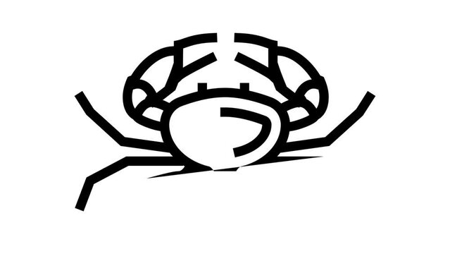 crab seafood line icon animation