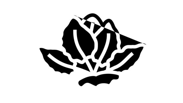 tiger lotus line icon animation