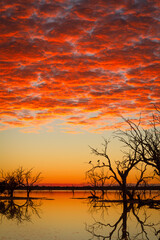 Fototapeta na wymiar Sunrise over Lake Pinaroo in the outback