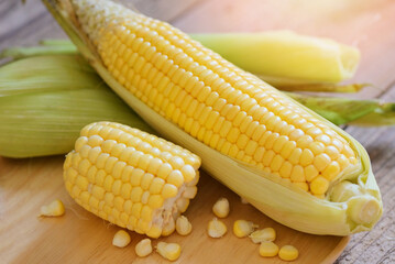 Fresh corn on wooden background, Harvest ripe corn organic, Corn on the cob, Sweet corn for cooking food