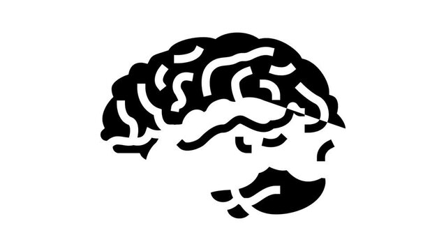 brain anatomy organ glyph icon animation