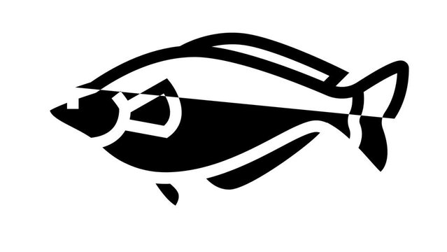 rainbowfish aquarium fish line icon animation
