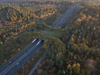 Ecoduct, ecopassage, nature bridge or game changeover. Infrastructure structure for animals and...