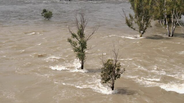 Muddy flood water submerges trees as fast river overruns its banks