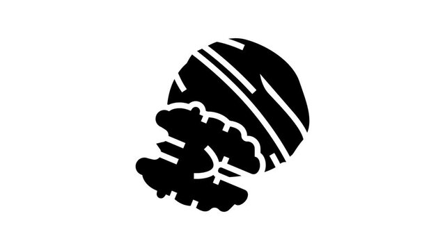 walnut nut line icon animation
