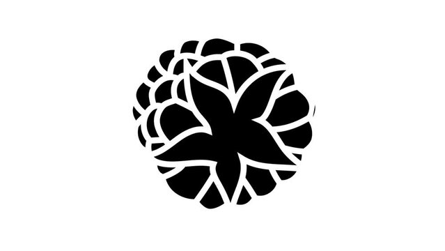 raspberry ripe delicious fruit line icon animation