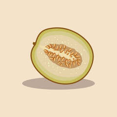 Fresh cut melon fruit hand drawn cartoon illustration