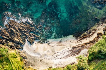 Drone view of private New Zealand beach with clear water & grass