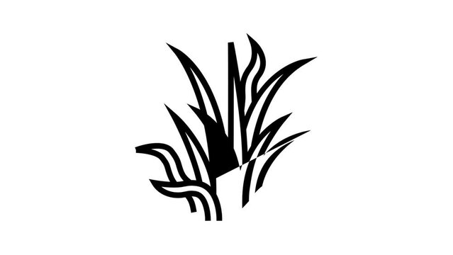pygmy chain sword line icon animation