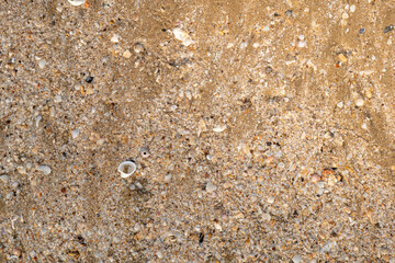 Sand texture, sand texture on the beach, sea abstract background, sand pattern background.