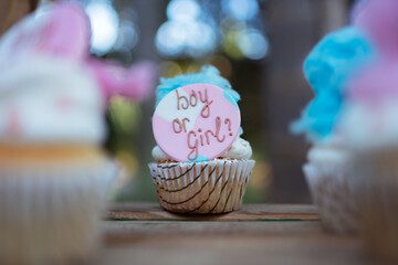 Gender reveal cupcakes