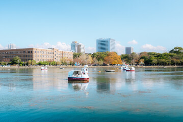 Fototapeta premium 【福岡】大濠公園の風景