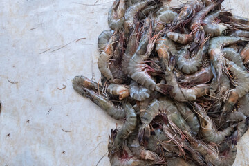 pile of fresh shrimp from fishermen being sold in the market