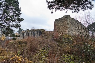 Fototapeta premium ruin of an old castle in nature