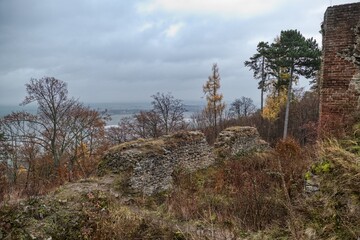 Fototapeta na wymiar ruin of an old castle in nature