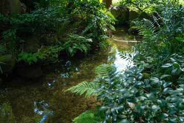 東京都国分寺市　お鷹の道・真姿の池湧水群