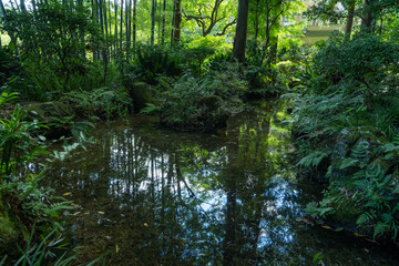 東京都国分寺市　お鷹の道・真姿の池湧水群