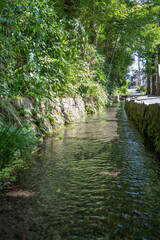 東京都国分寺市　お鷹の道・真姿の池湧水群