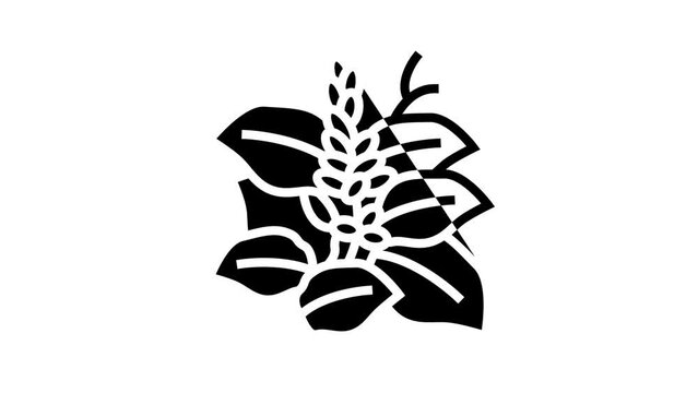 kudzu plant line icon animation
