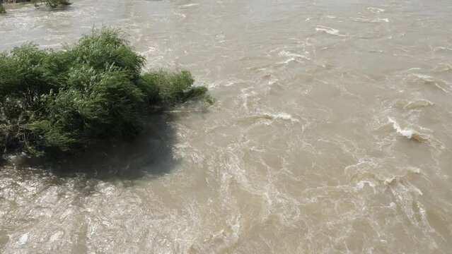 Fast moving spring river floods shoreline, submerging trees on banks