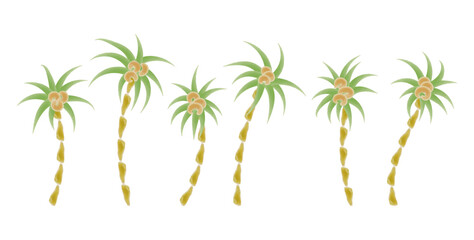 Fototapeta na wymiar palm tree set isolated on white watercolor brush textured