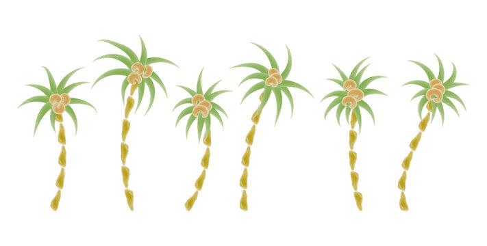 palm tree set  isolated on white watercolor brush textured