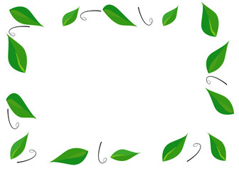 Obraz premium Drawing green leaves . isolate on white background. Copy space for your text and your business.