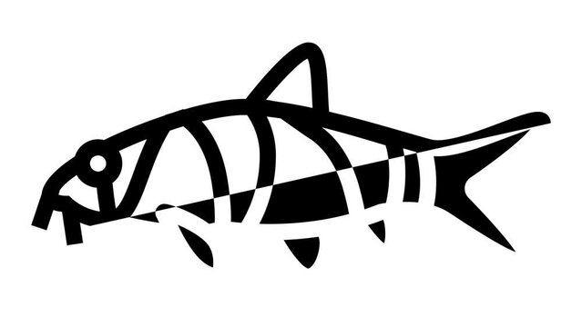 clown loaches line icon animation