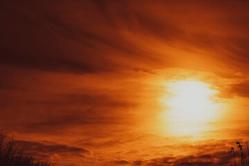 Heavenly peaceful landscape of juicy, orange twilight sky with pinkish cloud haze. Silhouettes of tree branches framed in foreground. Cloudiness varying in density in vertical. Selective focus.