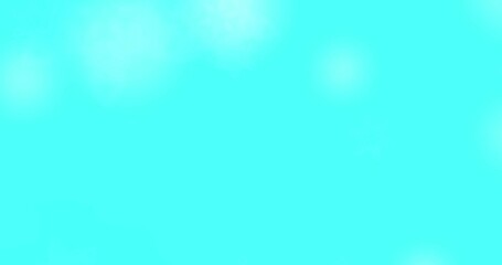 confetti snowflakes. merry christmas, Holiday, winter, New Year, snowflake, snow, festive snow flakes