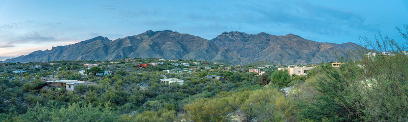 Fototapeta na wymiar Panorama of a mountainside neighborhood with green plants and trees outdoors at Tucson, Arizona