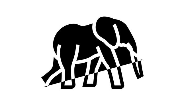 elephant animal in zoo line icon animation