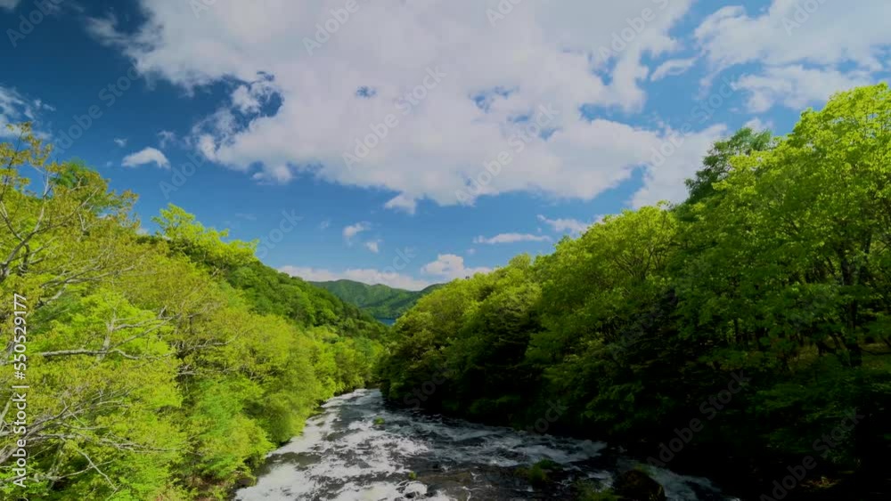 Poster 初夏の奥日光竜頭の滝