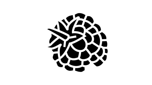 raspberry leaf berry line icon animation
