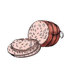 mortadella salami hand drawn vector. meat sausage, bologna deli, pepperoni liver mortadella salami sketch. isolated color illustration © PikePicture