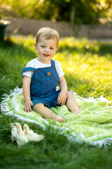 Beautiful baby sits on the green grass next to chickens