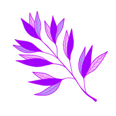 Purple leaves illustration.