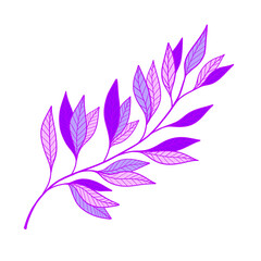 illustration of a flower. Purple leaves.